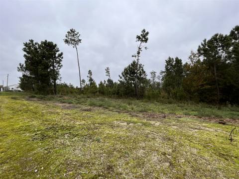 Terreno Para Construção  Venda em Rio de Loba,Viseu