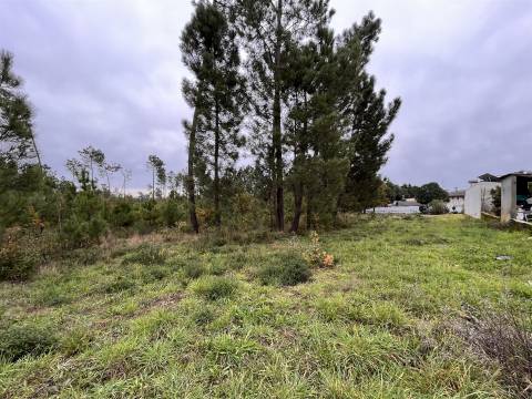 Terreno Para Construção  Venda em Rio de Loba,Viseu