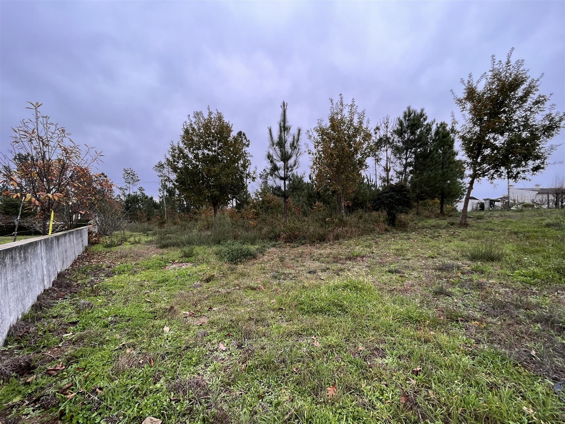 Terreno Para Construção  Venda em Rio de Loba,Viseu