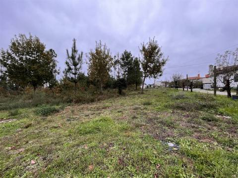 Terreno Para Construção  Venda em Rio de Loba,Viseu
