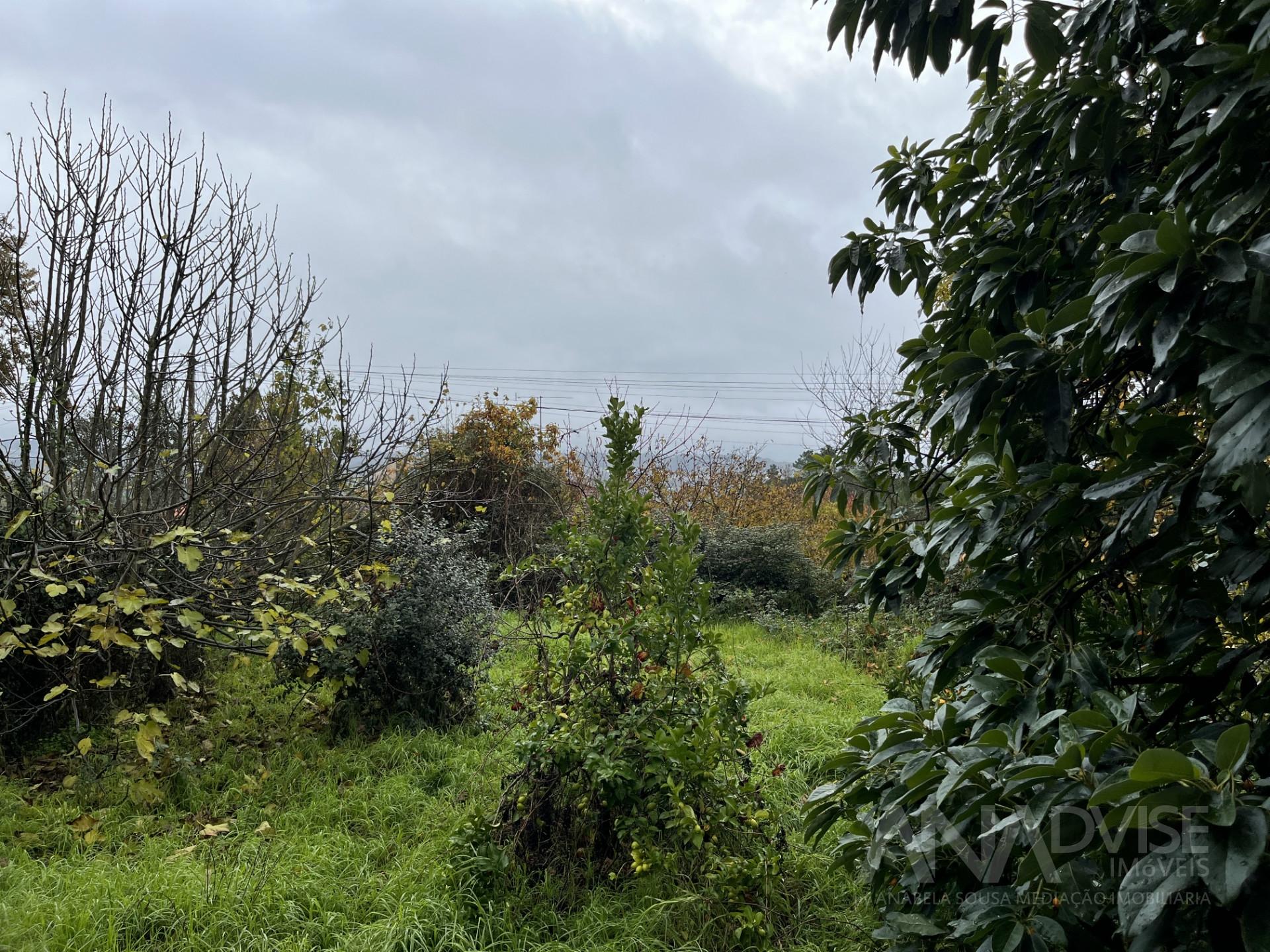 Moradia Geminada T5 Venda em Fragosela,Viseu