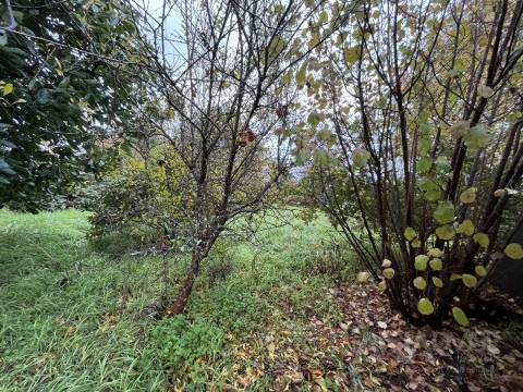 Moradia Geminada T5 Venda em Fragosela,Viseu