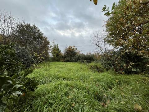 Moradia Geminada T5 Venda em Fragosela,Viseu