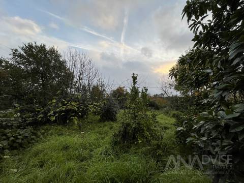 Moradia Geminada T5 Venda em Fragosela,Viseu