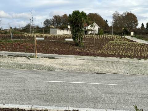 Loteamento  Venda em Abraveses,Viseu