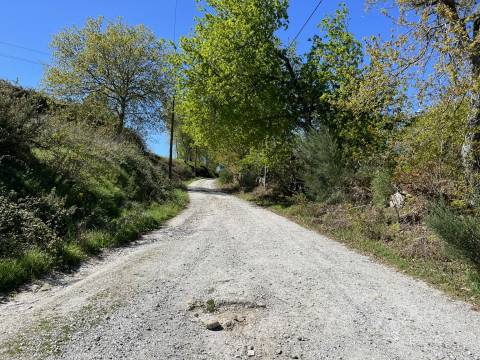 Terreno Para Construção  Venda em Rio de Loba,Viseu