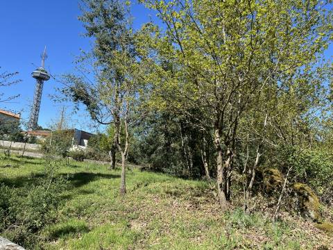 Terreno Para Construção  Venda em Rio de Loba,Viseu