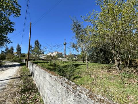 Terreno Para Construção  Venda em Rio de Loba,Viseu