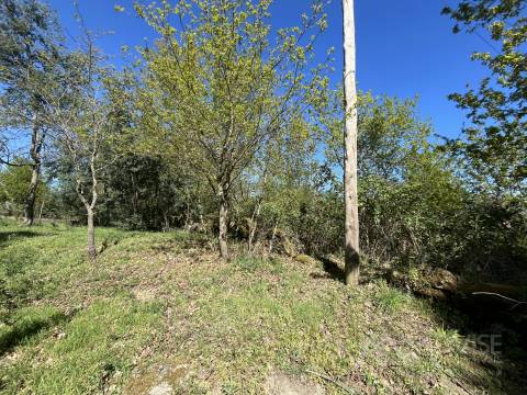 Terreno Para Construção  Venda em Rio de Loba,Viseu
