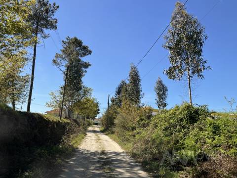 Terreno Para Construção  Venda em Rio de Loba,Viseu