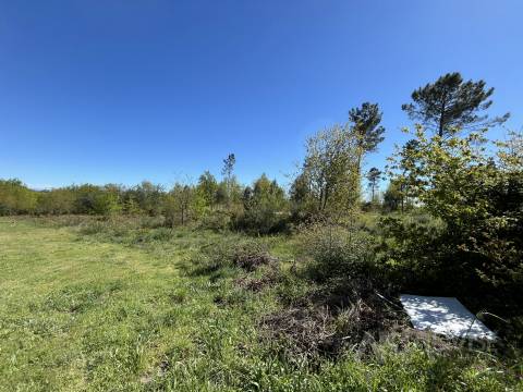 Terreno Para Construção  Venda em Rio de Loba,Viseu
