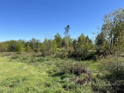 Terreno Para Construção  Venda em Rio de Loba,Viseu