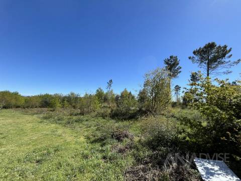 Terreno Para Construção  Venda em Rio de Loba,Viseu