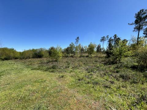 Terreno Para Construção  Venda em Rio de Loba,Viseu
