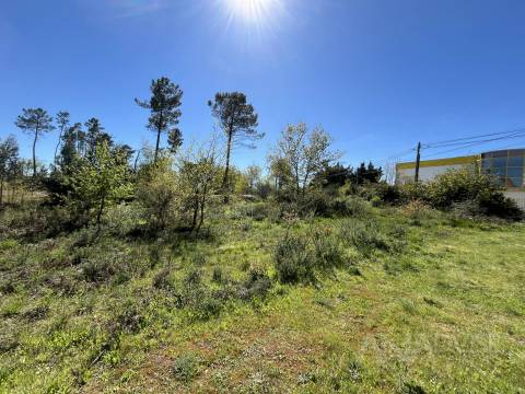 Terreno Para Construção  Venda em Rio de Loba,Viseu