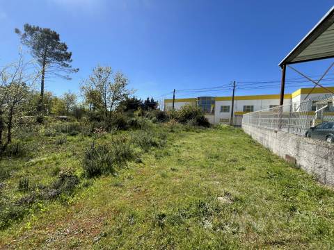 Terreno Para Construção  Venda em Rio de Loba,Viseu