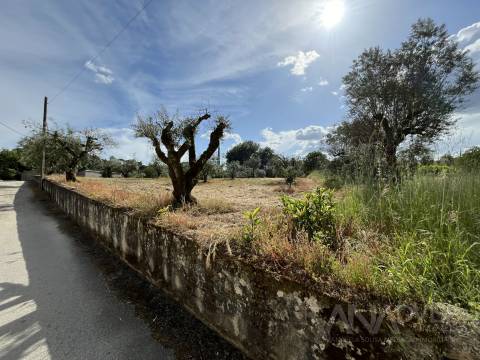 Terreno  Venda em Silgueiros,Viseu