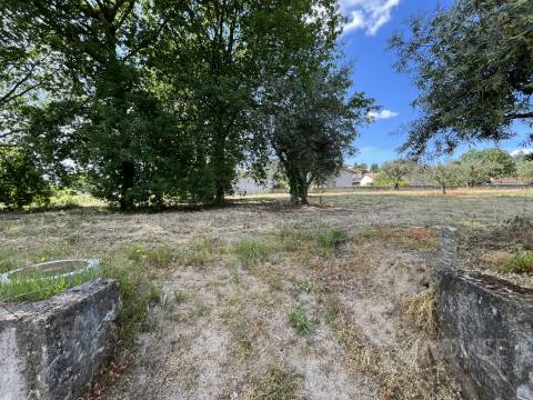 Terreno  Venda em Silgueiros,Viseu