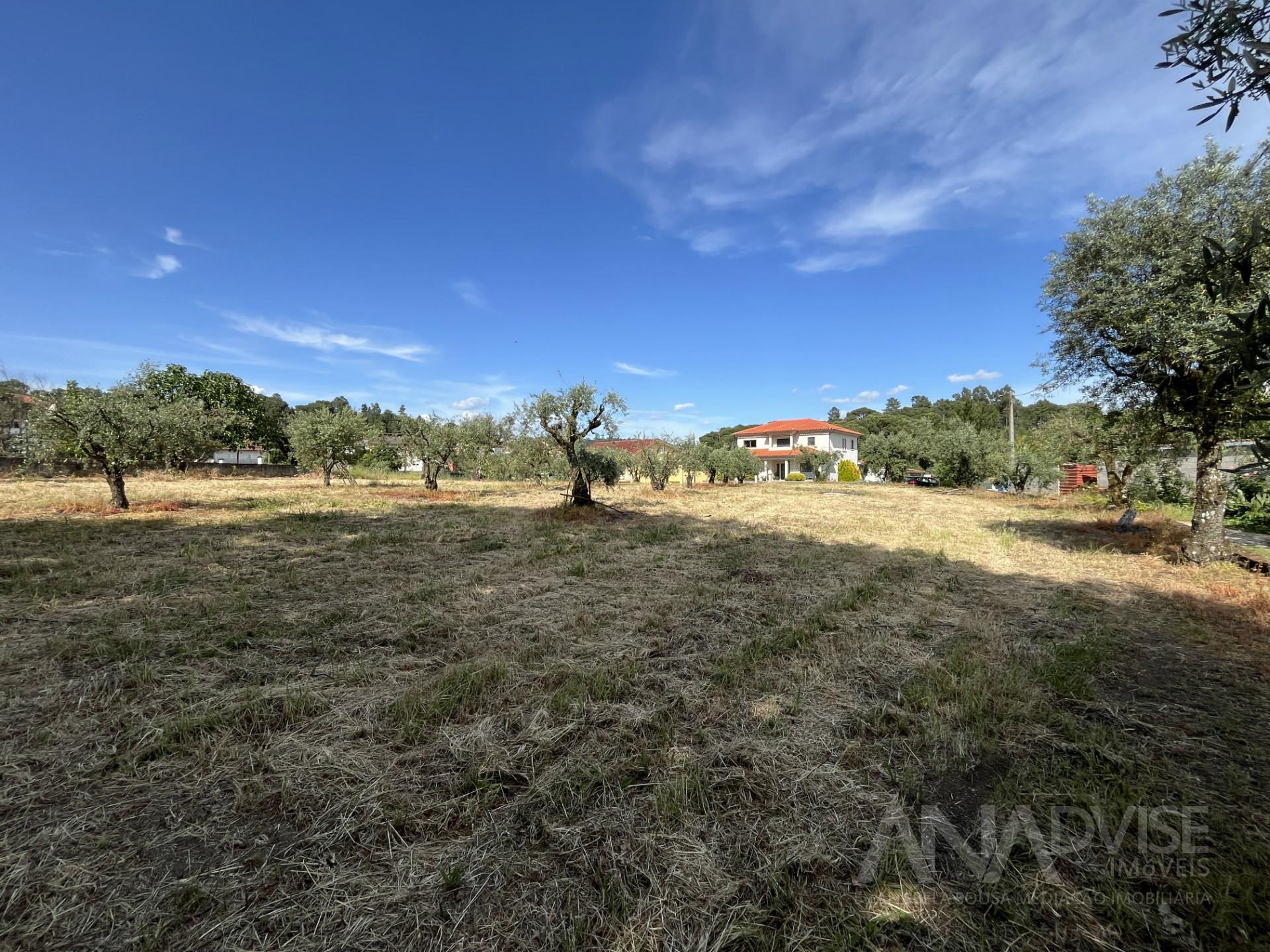 Terreno  Venda em Silgueiros,Viseu