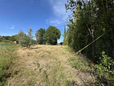 Terreno  Venda em Silgueiros,Viseu