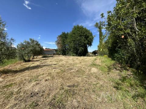 Terreno  Venda em Silgueiros,Viseu