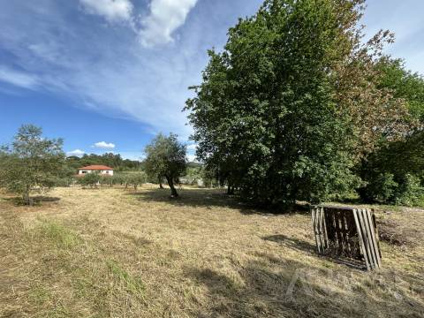 Terreno  Venda em Silgueiros,Viseu