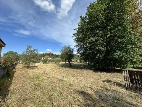 Terreno  Venda em Silgueiros,Viseu