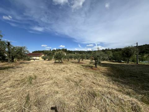 Terreno  Venda em Silgueiros,Viseu