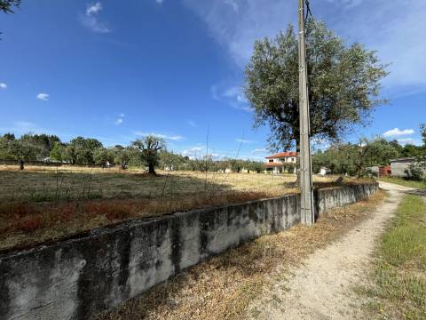 Terreno  Venda em Silgueiros,Viseu