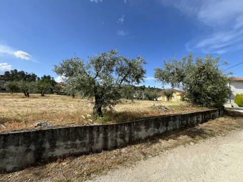 Terreno  Venda em Silgueiros,Viseu