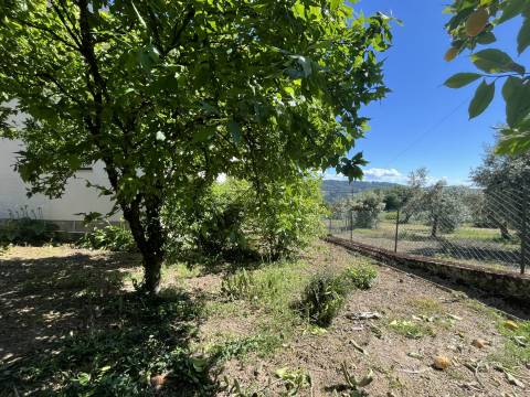 Moradia T3 Venda em Esmolfe,Penalva do Castelo
