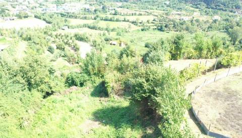 Quinta em Infantas, Guimarães