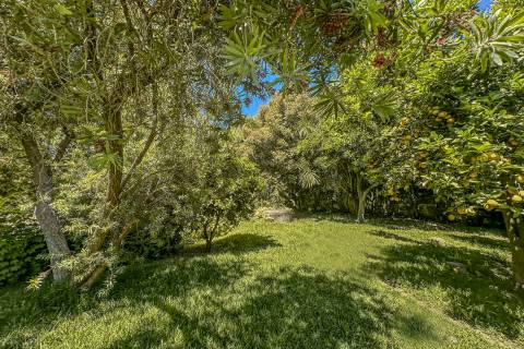 Moradia V4 em Infias, Vizela