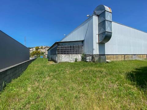 Pavilhões para Venda em Guimarães