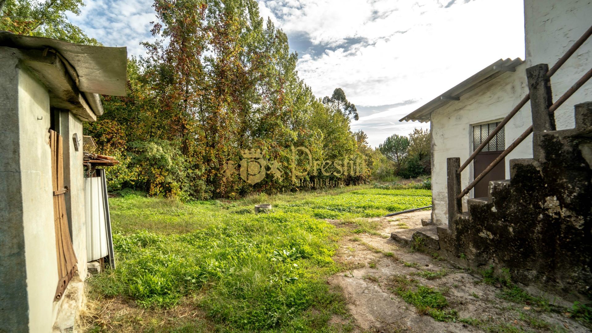 Vende-se Quintinha em Infias - Oportunidade Única