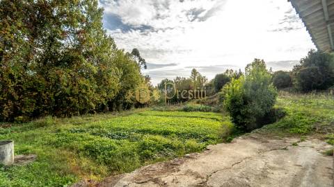 Vende-se Quintinha em Infias - Oportunidade Única