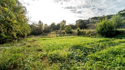 Vende-se Quintinha em Infias - Oportunidade Única