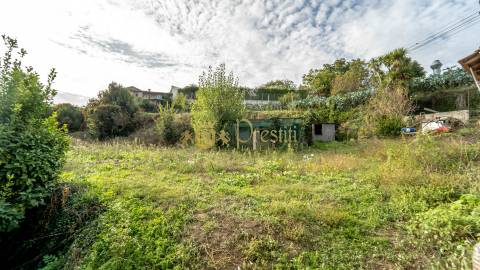 Vende-se Quintinha em Infias - Oportunidade Única