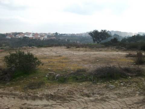 Lote de terreno com 5000m2 com projeto em Castelo Branco