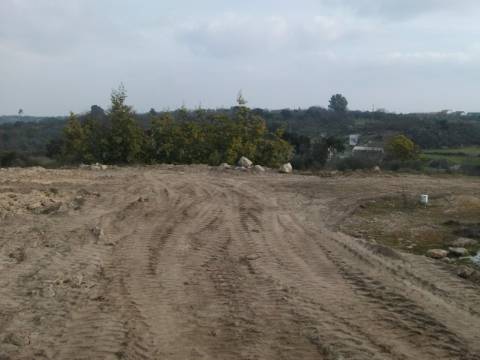 Lote de terreno com 5000m2 com projeto em Castelo Branco