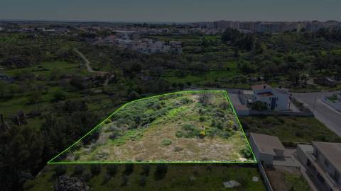 Lote de terreno com 5000m2 com projeto em Castelo Branco