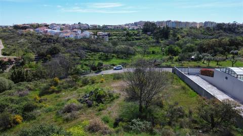 Lote de terreno com 5000m2 com projeto em Castelo Branco