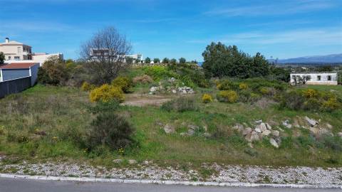 Lote de terreno com 5000m2 com projeto em Castelo Branco