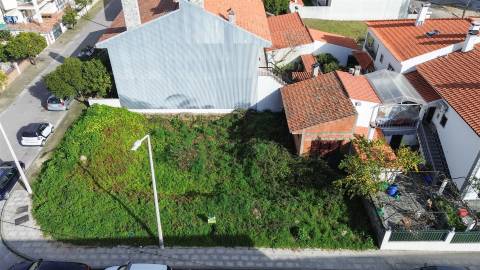 Lote de Terreno na Quinta da Carapalha em Castelo Branco