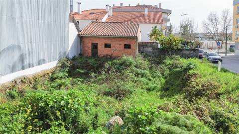 Lote de Terreno na Quinta da Carapalha em Castelo Branco