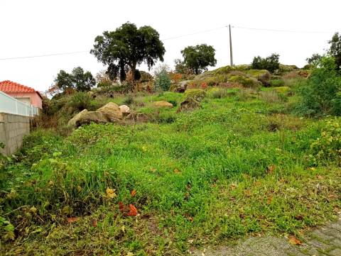 Lote de Terreno na zona da Quinta da Carapalha em Castelo Branco