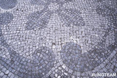 Solar localizado em Castelo Branco,  na zona histórica da cidade.