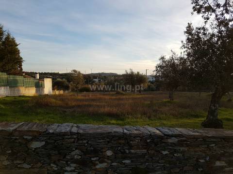 Lote de Terreno nas Benquerenças, Castelo Branco...