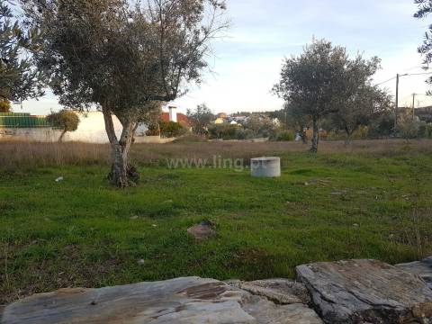 Lote de Terreno nas Benquerenças, Castelo Branco...