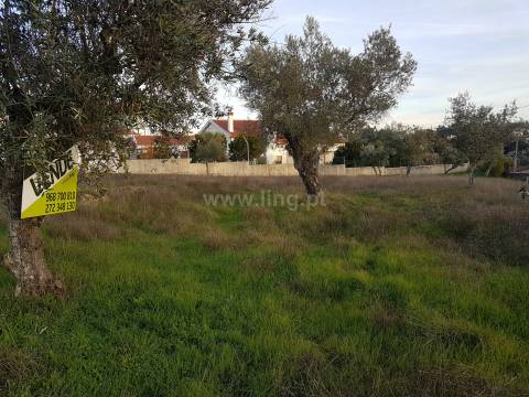 Lote de Terreno nas Benquerenças, Castelo Branco...